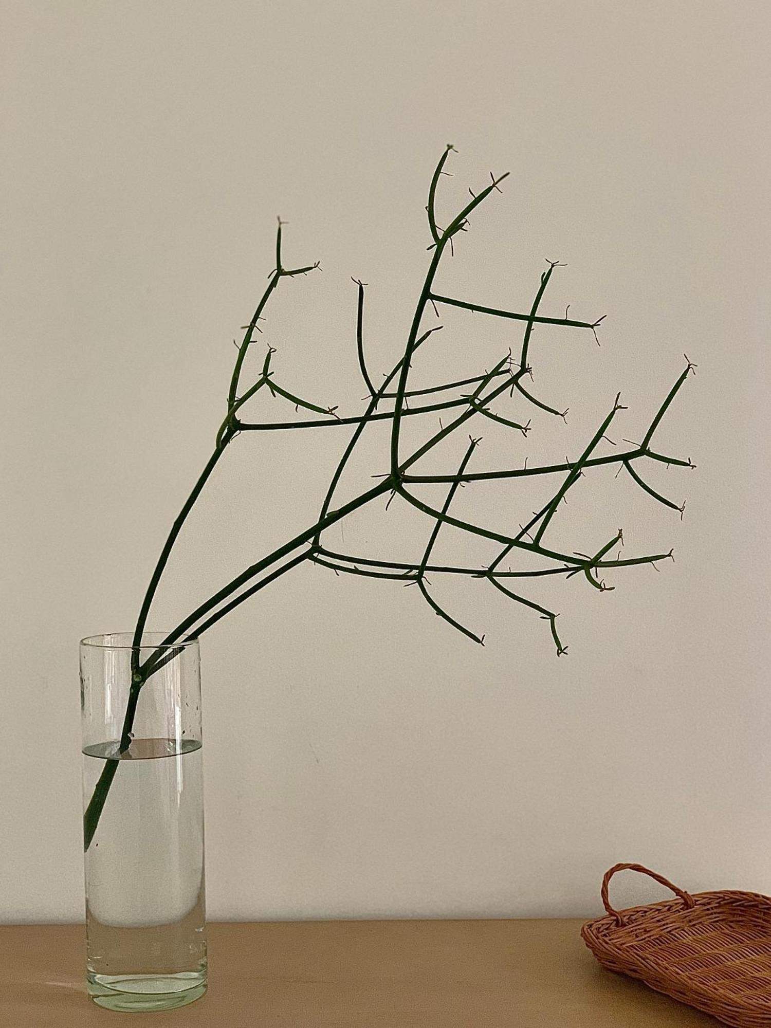 Apartmán Lela House Dong Hoi Exteriér fotografie