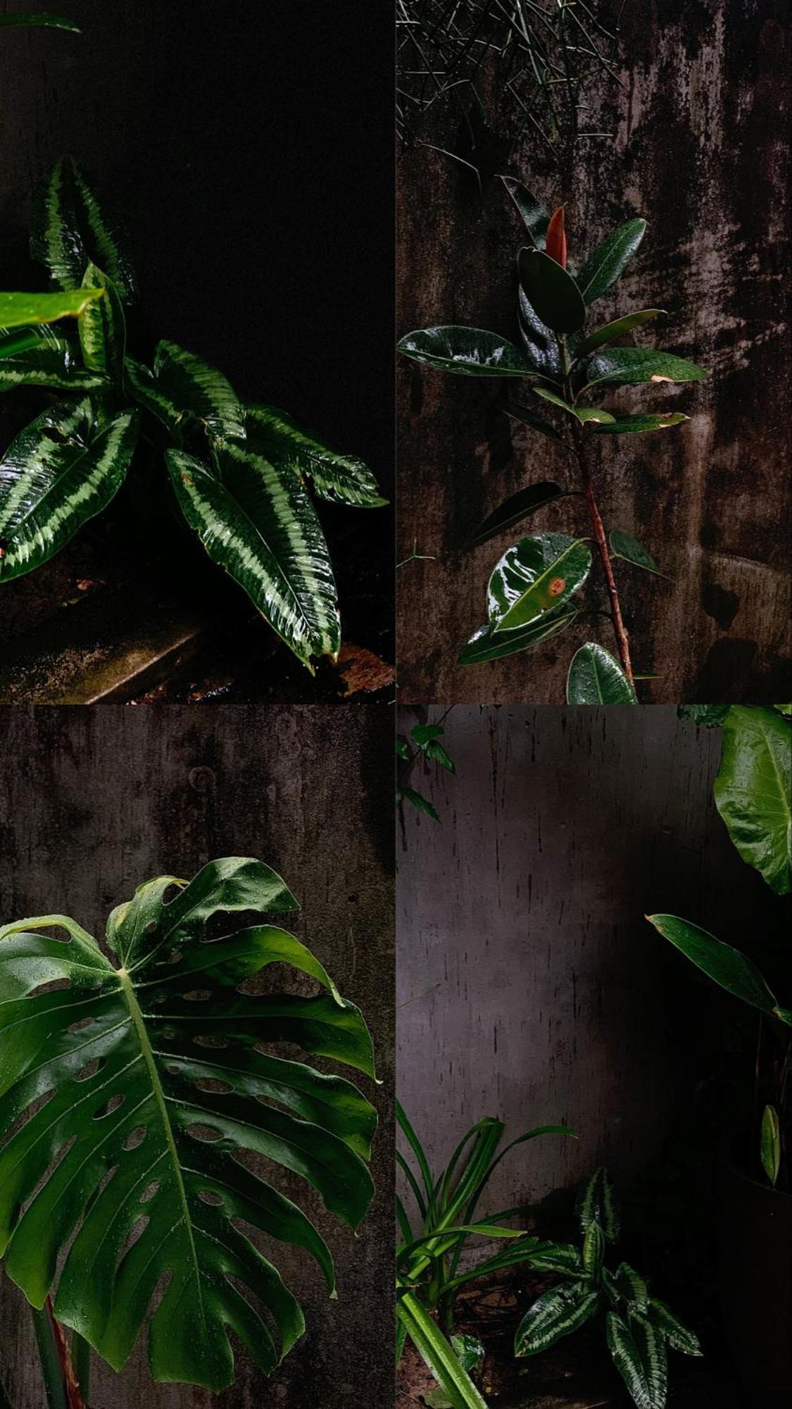 Apartmán Lela House Dong Hoi Exteriér fotografie